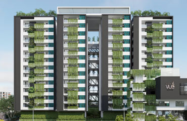 Giridhari's Vue